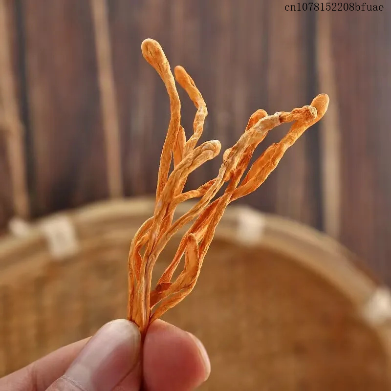 250g/500g Gedroogde Cordyceps  - Dried Herbs recensie en prijs