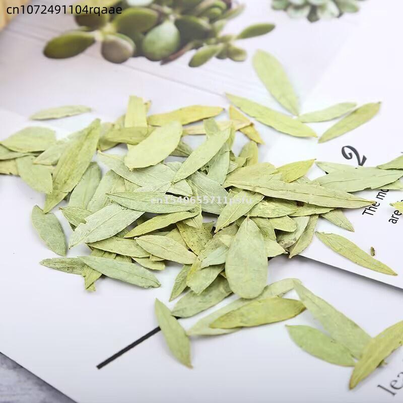 Premium biologische Senna blad - Dried Herbs recensie en prijs